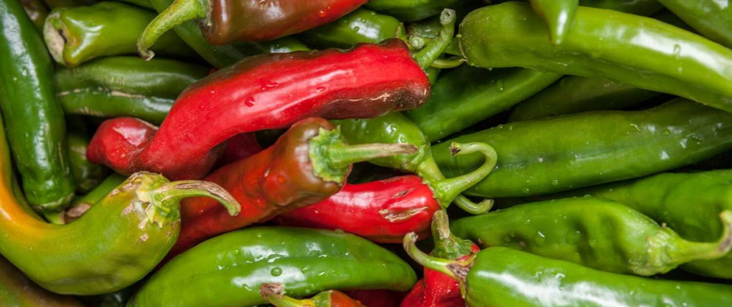 Red Jalapeno Pepper Mash – The Chilli Pepper Company