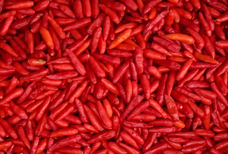 Chilli Chocolate Mille Fueille - The Chilli Pepper Company